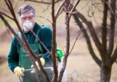 pesticide
