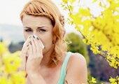allergies